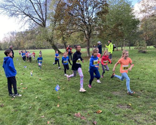 Erfolgreiche Kreismeisterschaft im Crosslauf im Schlosspark Biebrich
