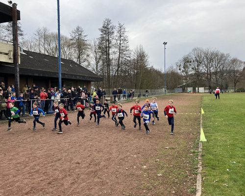 Schon bei den Jüngsten ging es bei den Crosslaufmeisterschaften des Leichtathletik-Kreis Bergstraße hoch her, wie der Start der Schüler U8 über 635 Meter zeigt. Foto: Kerstin Sonnabend