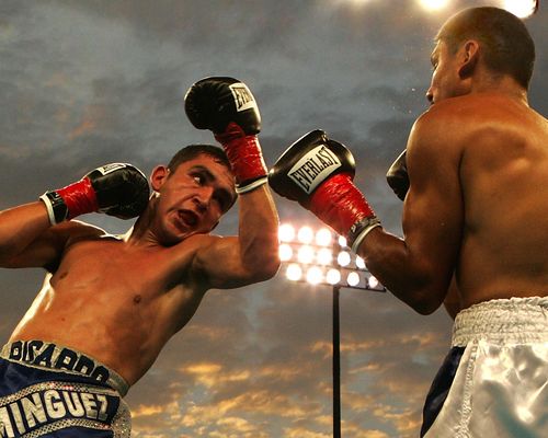 Consetetur sadipscing elitr