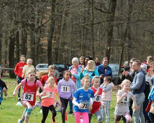 Crosslaufmeisterschaften 2023