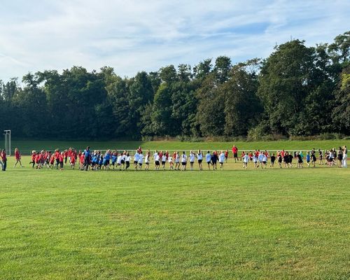 LAV Minis und KSV Runners belegen jeweils 1. Plätze