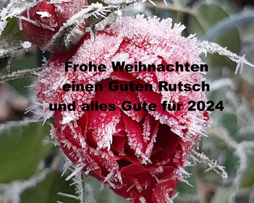 Weihnachts- und Neujahrsgrüße
