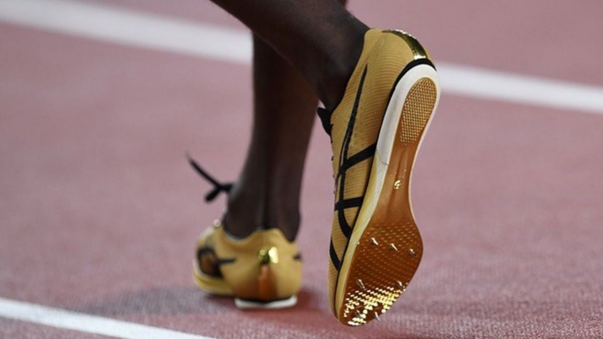 Foto: Jens Priedemuth