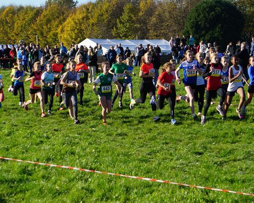 Hessische Meisterschaften im Crosslauf – 1 x Hessische Meisterschaft, 3 x Hessische Vize-Meisterschaft