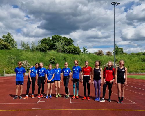 Heuchelheimer Springer- & Werfermeeting