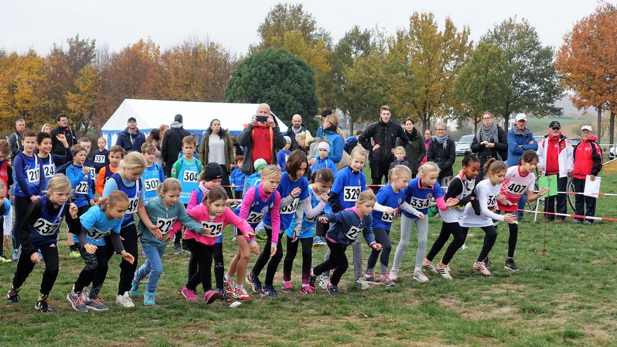 Am 13. November geht's auf der Reitanlage Messerschmidt wieder rund.