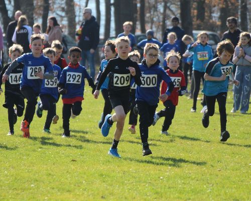 Kreismeisterschaften im Waldlauf 2024