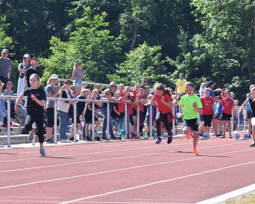 Bei den Titelkämpfen des Leichtathletikkreis Bergstraße ermitteln am Samstag die Altersklassen U12 und älter ihre Besten im Lorscher Olympiastadion.