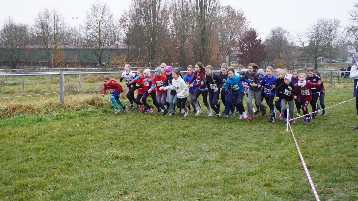 Los geht's für die Läuferinnen der W10 und W11.